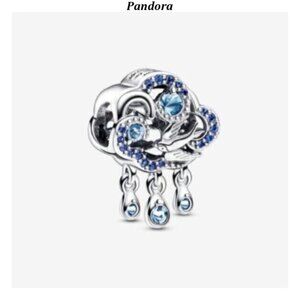 Pandora Cloud & Swallow Charm